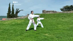 Dy motrat nga Shqipëria, kampione në karate!